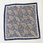 Light Blue Paisley