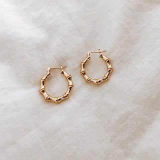 Ronnie Hoops