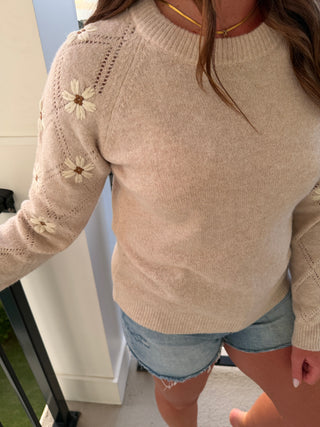 Lovely Embroidered Sweater