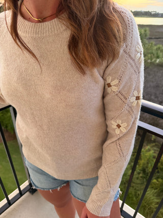 Lovely Embroidered Sweater