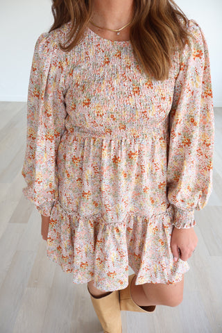 Aimee Long Sleeve Mini Dress