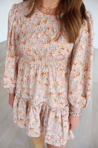 Aimee Long Sleeve Mini Dress