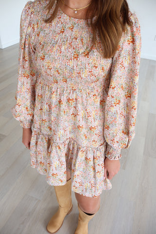 Aimee Long Sleeve Mini Dress