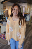 Apricot