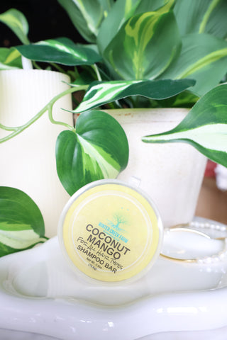 Shampoo Bars