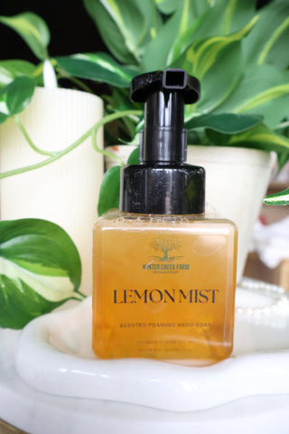 Foaming Hand Soap