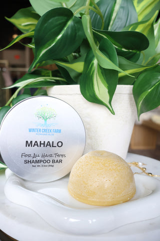 Shampoo & Conditioner Bars