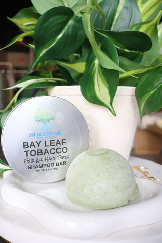 Shampoo & Conditioner Bars