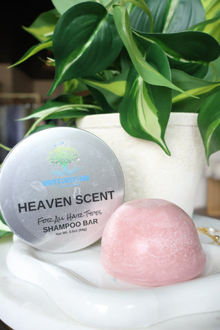 Shampoo & Conditioner Bars