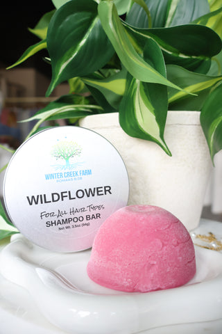 Shampoo & Conditioner Bars