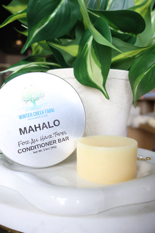Shampoo & Conditioner Bars