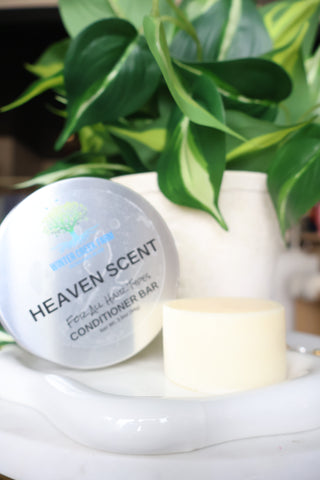 Shampoo & Conditioner Bars